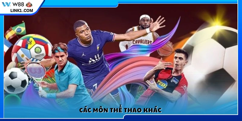 Nhiều bộ môn thể thao khác đa dạng tại nền tảng 